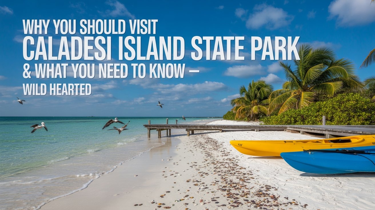 Why You Should Visit Caladesi Island State Park & What You Need To Know Wild Hearted