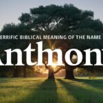 The Terrific Biblical Meaning of the Name ANTHONY