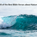 20 of the Best Bible Verses about Nature